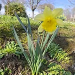 La Mirabelle * Montazeau