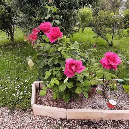 Gite La Mirabelle Holiday home