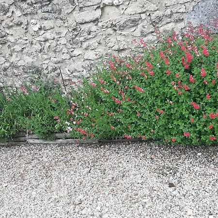 بيت للعطل La Mirabelle Montazeau