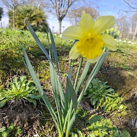 La Mirabelle * Montazeau