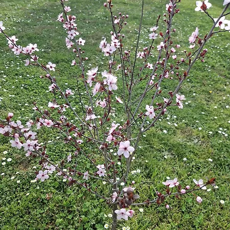 بيت للعطل La Mirabelle