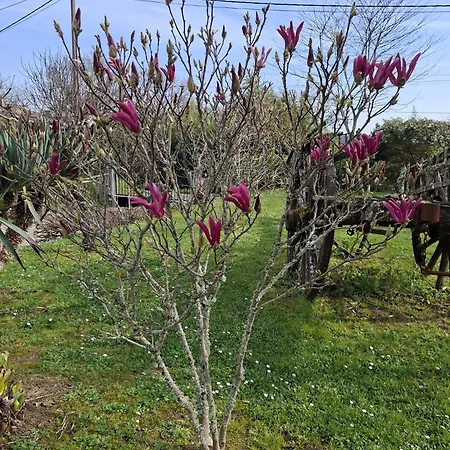La Mirabelle بيت للعطل Montazeau