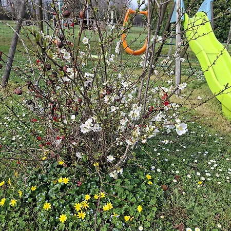 Hébergement de vacances La Mirabelle