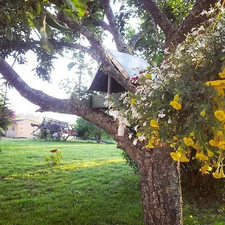 La Mirabelle * Montazeau