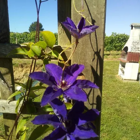 Holiday home La Mirabelle Montazeau