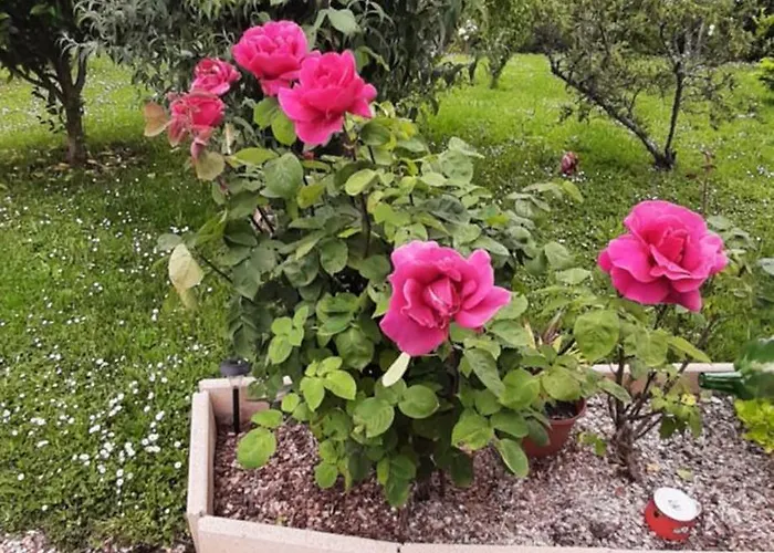 La Mirabelle بيت للعطل