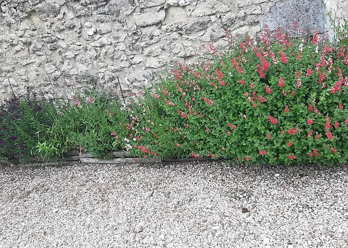 بيت للعطل La Mirabelle Montazeau