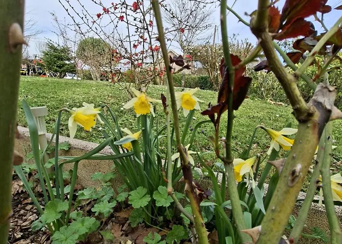 بيت للعطل La Mirabelle Montazeau