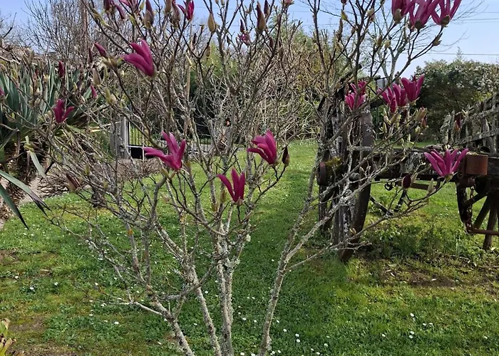 La Mirabelle بيت للعطل Montazeau