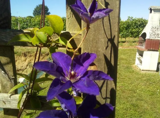 Nyaraló La Mirabelle Montazeau